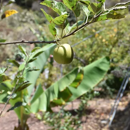 Finca El Majuelo בית נופש